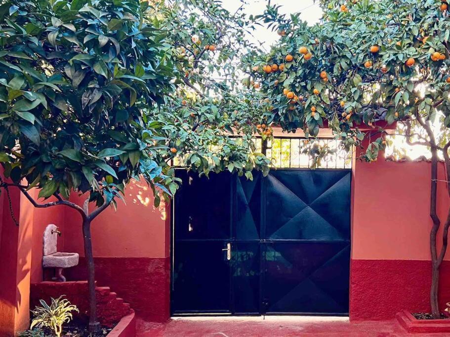 Zarlett House, Pazari Ri ,Villa With Garden,Parking ティラナ エクステリア 写真
