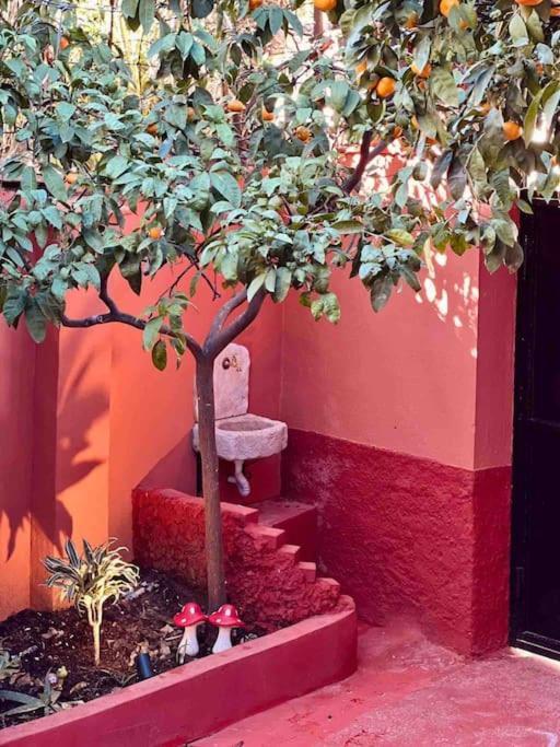 Zarlett House, Pazari Ri ,Villa With Garden,Parking ティラナ エクステリア 写真